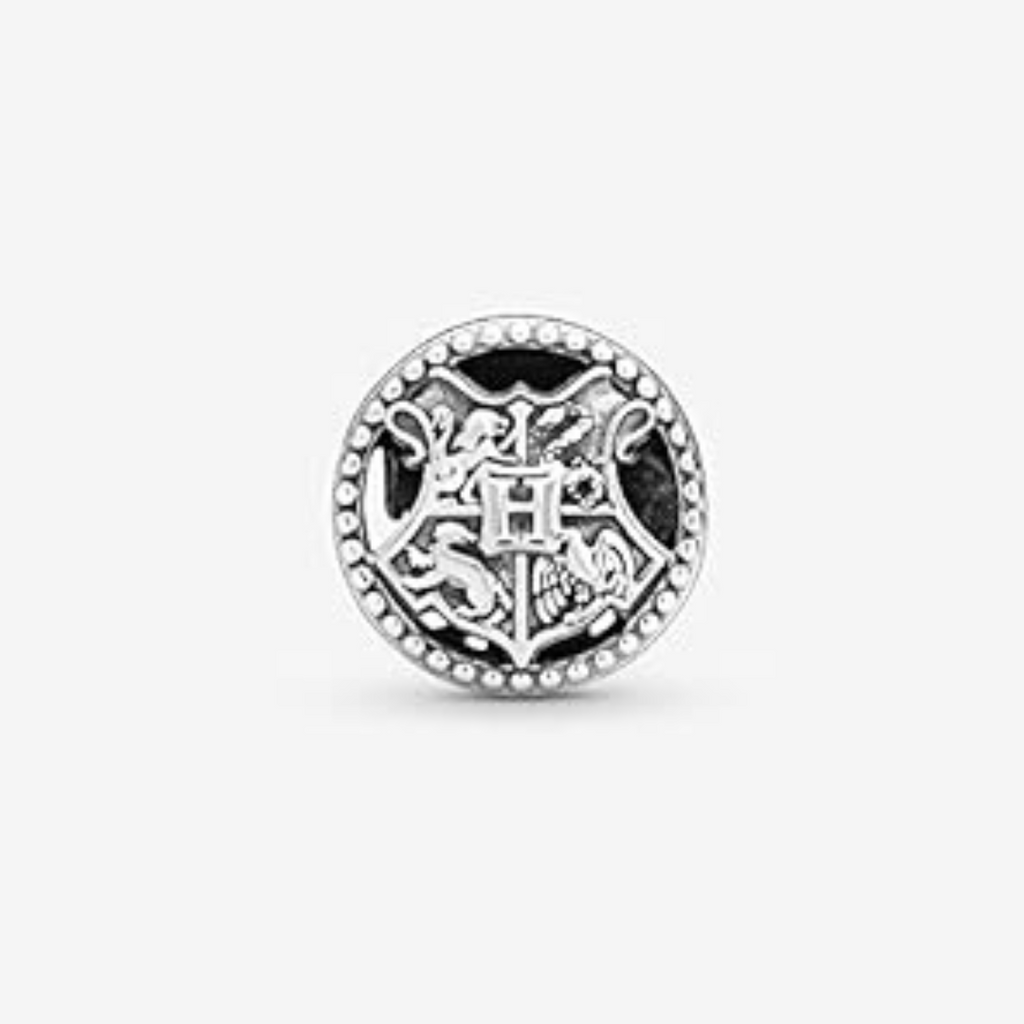 Charm Escuela Hogwarts