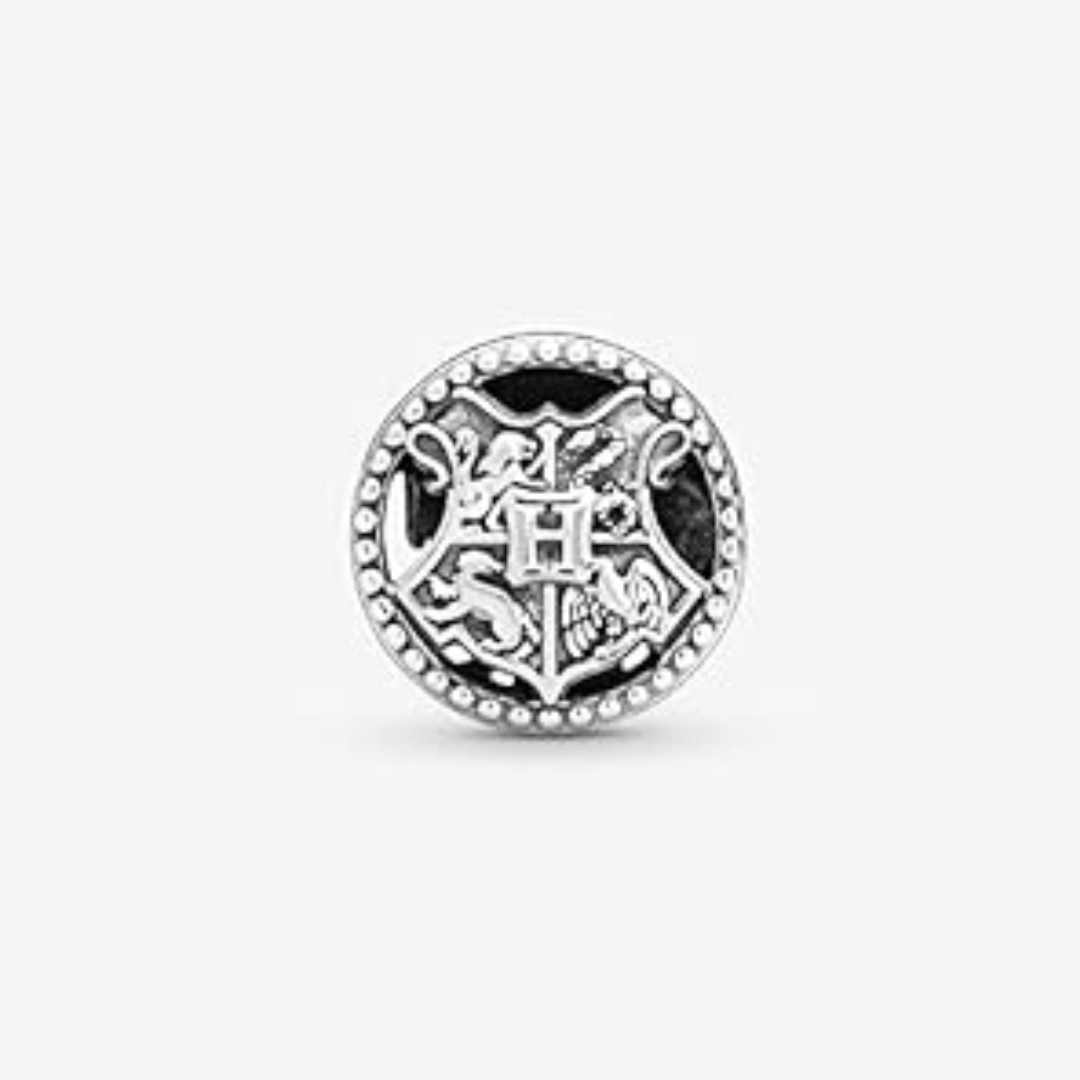Charm Escuela Hogwarts