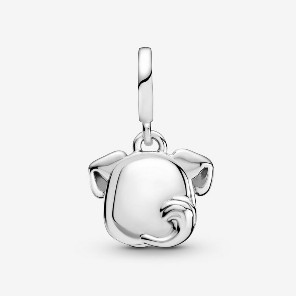 Charm De Mi Perro Mascota
