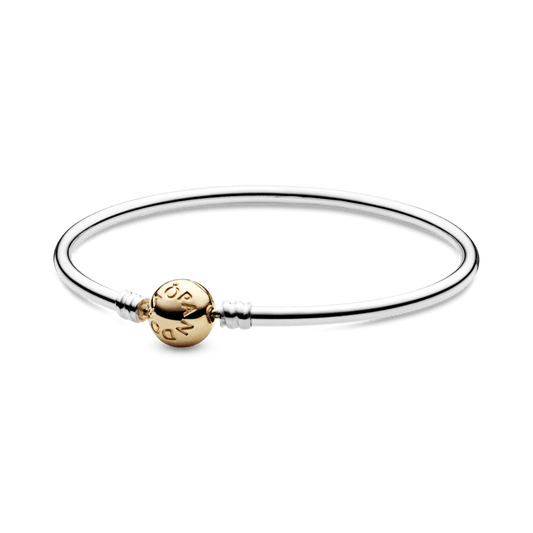 Pulsera Rigida Broche Clasico en Shine