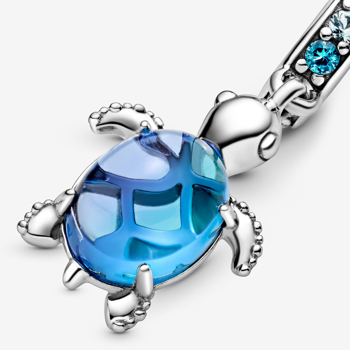 Charm Tortuga