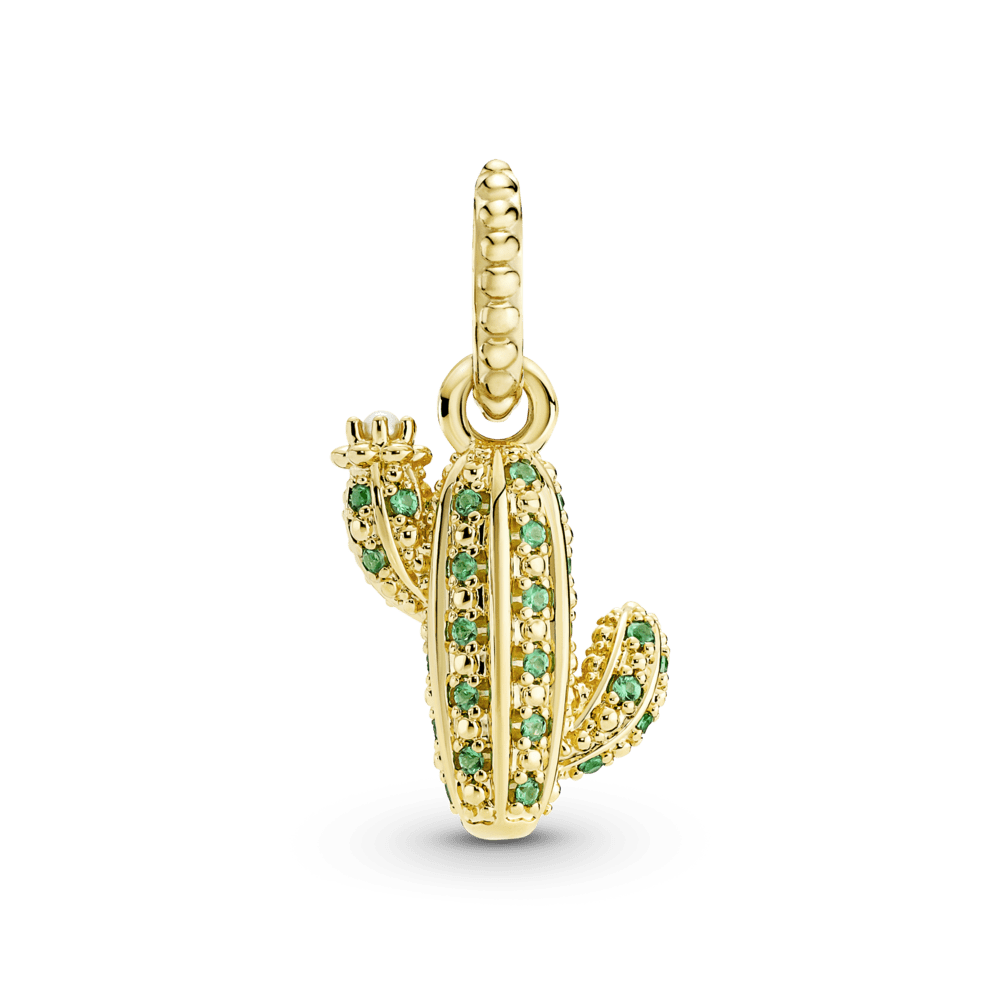 Charm Cactus