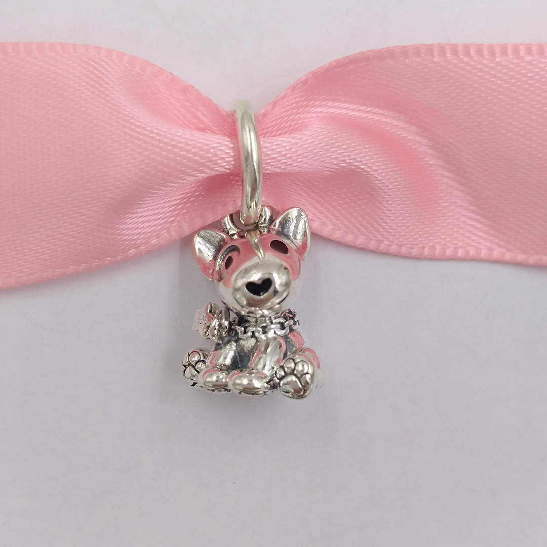 Charm Bull Terrier